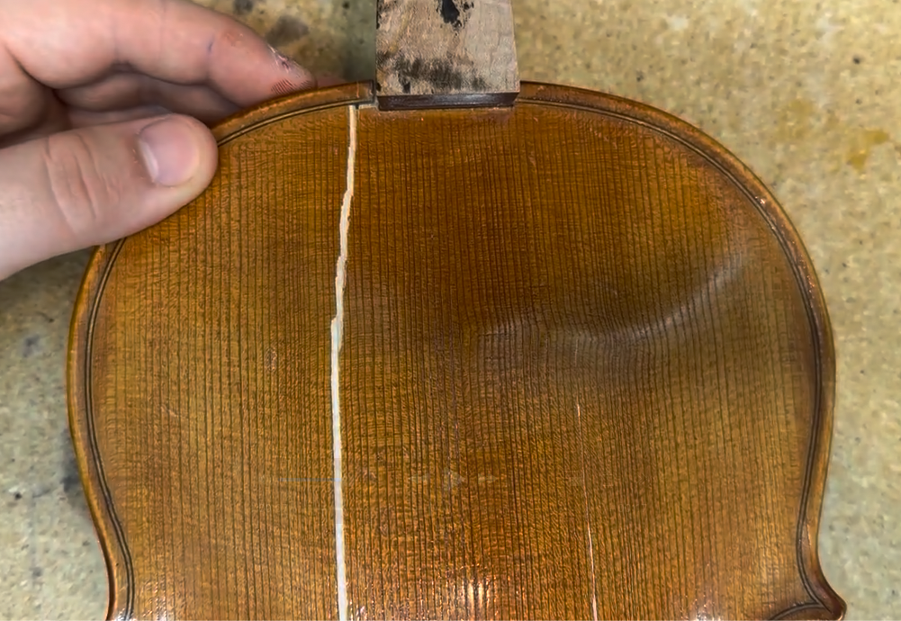 Viola damage overview, view 1