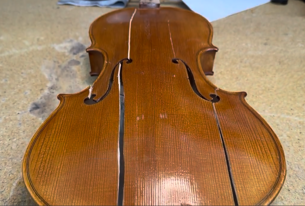 Viola damage overview, view 2