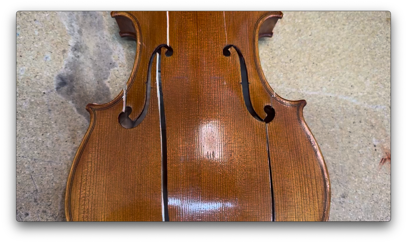 Viola damage overview, view 3
